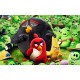 387246A5 vafa angry birds 20x15cm